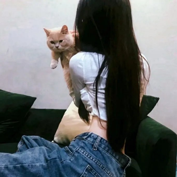 招惹玫瑰